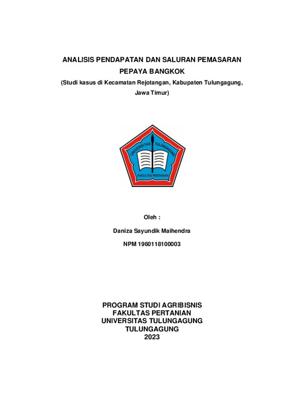 03. Skripsi DANIZA SAYUNDIK MAIHENDRA-1-14.pdf