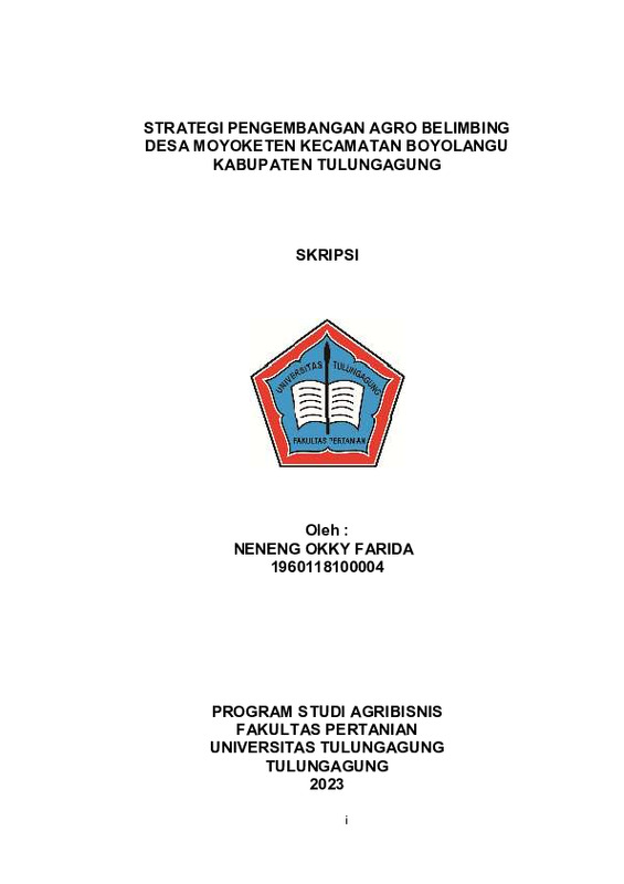 04. Skripsi NENENG OKKY FARIDA-1-15.pdf