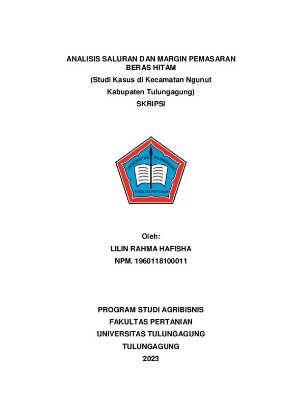 10. Skripsi LILIN RAHMA HAFISHA-1-15.pdf
