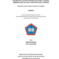 skripsi erwina abstrak.pdf