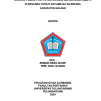 05 SKRIPSI AHMAD NABIL MUNIF-1-11.pdf