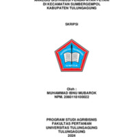 17 SKRIPSI MUHAMMAD IBNU MUBAROK-1-12.pdf