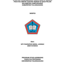 24 SKRIPSI SITI FAUZIATUN NURUL JANNAH-1-15.pdf