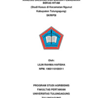 10. Skripsi LILIN RAHMA HAFISHA-1-15.pdf
